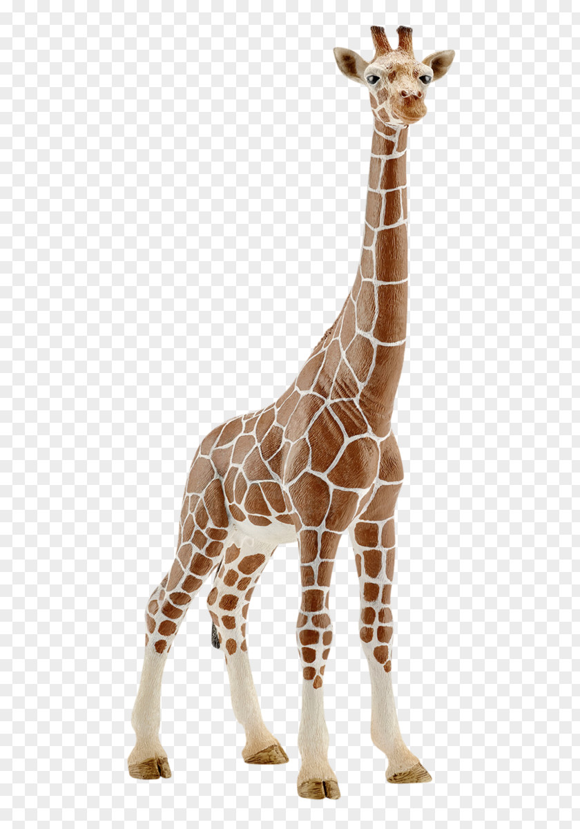 Giraffe Schleich Calf Amazon.com Toy PNG