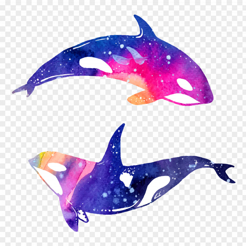 Hand Painted Whale Dolphin Watercolor Painting Illustration PNG