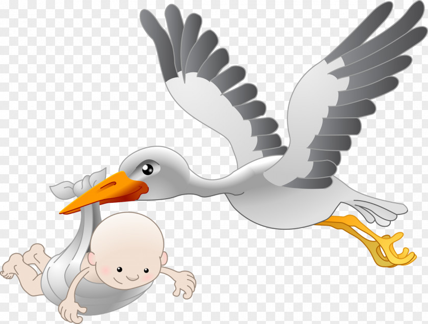 Stork White Bird Infant PNG