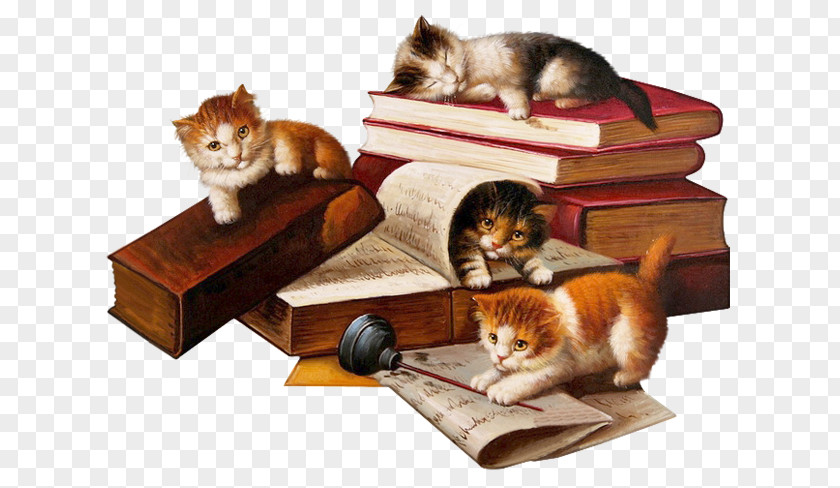 Cat Literature Romanticism Drawing Literary Realism PNG