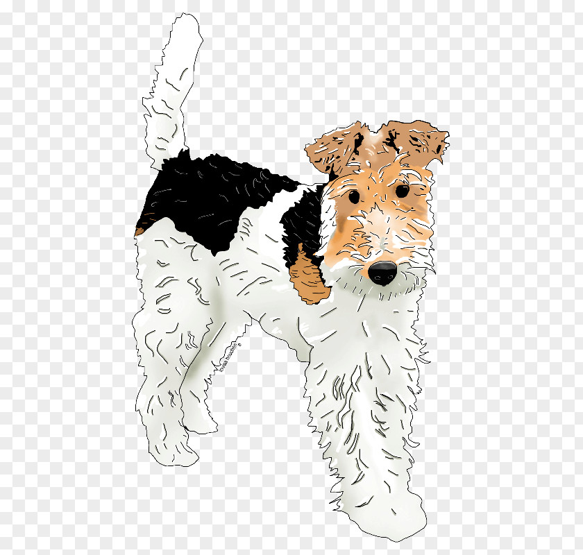 Fox Wire Hair Terrier Dog Breed Companion PNG