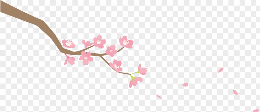Petal Twig Cherry Blossom PNG