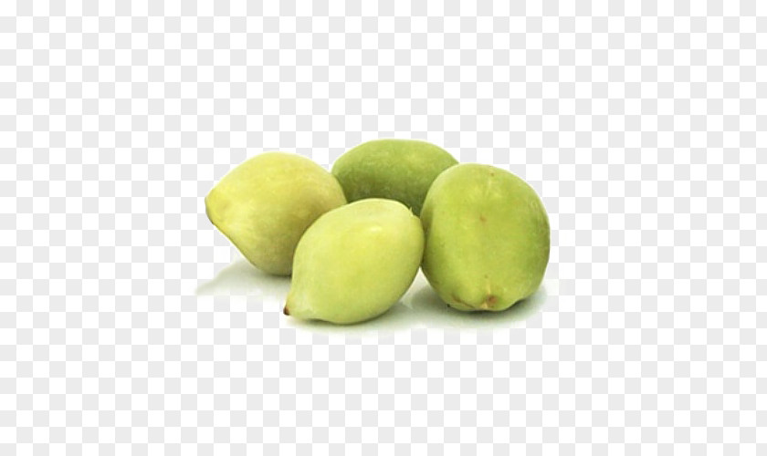 Tea Kakadu Plum Extract Cosmetics Vitamin C PNG