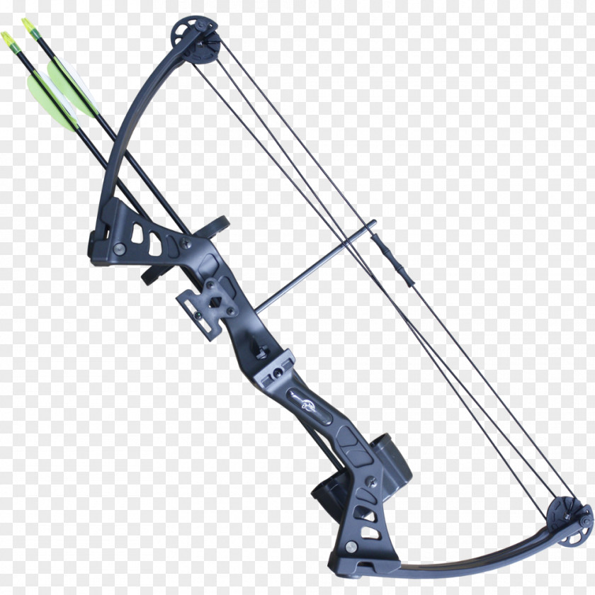 Bow Compound Bows Archery And Arrow PNG