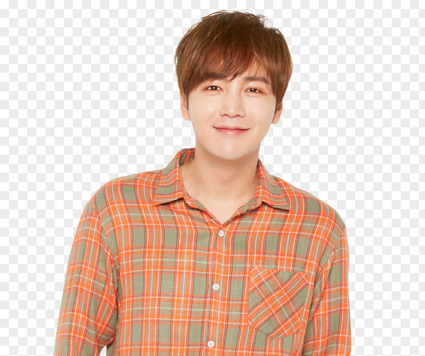 Boy Tartan Sleeve PNG