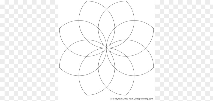 Eight Petal Flower Template Line Art Circle Symmetry Point Angle PNG