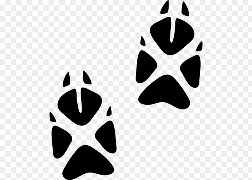 Fox Paw Animal Track Cat PNG