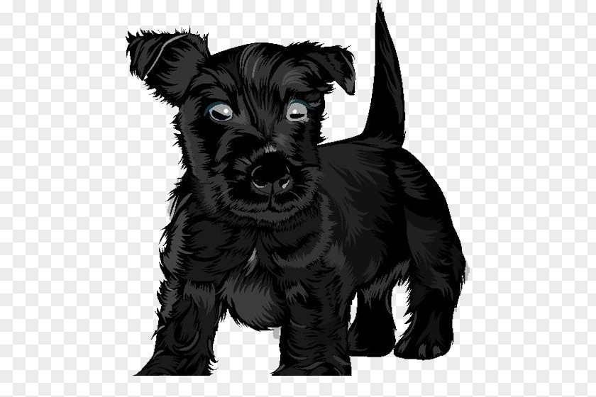 Textured Black Puppy Scottish Terrier Russian Clip Art PNG