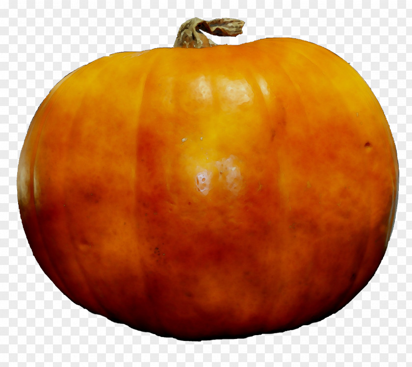 Jack-o'-lantern Calabaza Gourd Pumpkin Winter Squash PNG