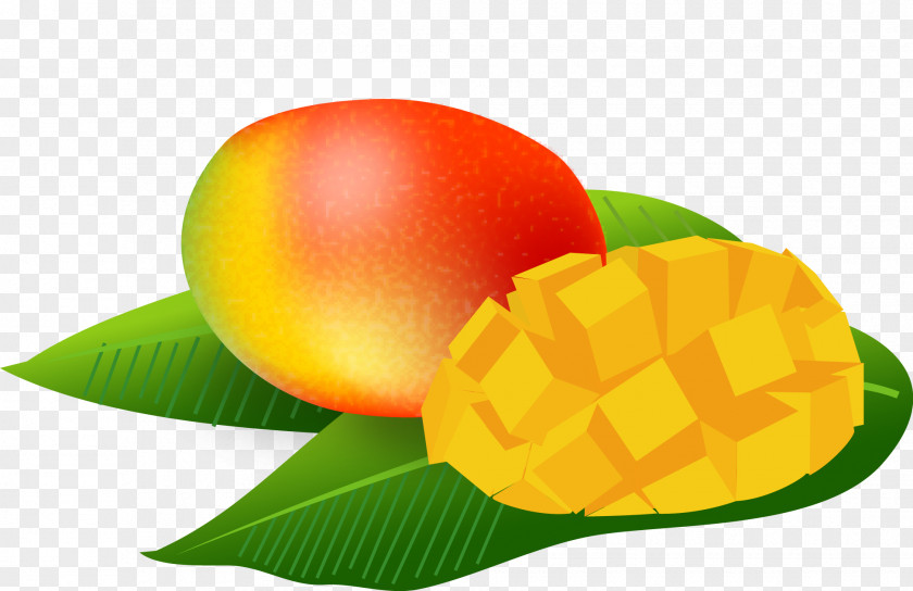 Mango Pic Mangifera Indica Tropical Fruit Art PNG