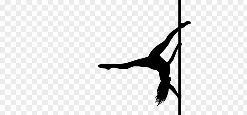 Pole Dance Studio Circus Art PNG