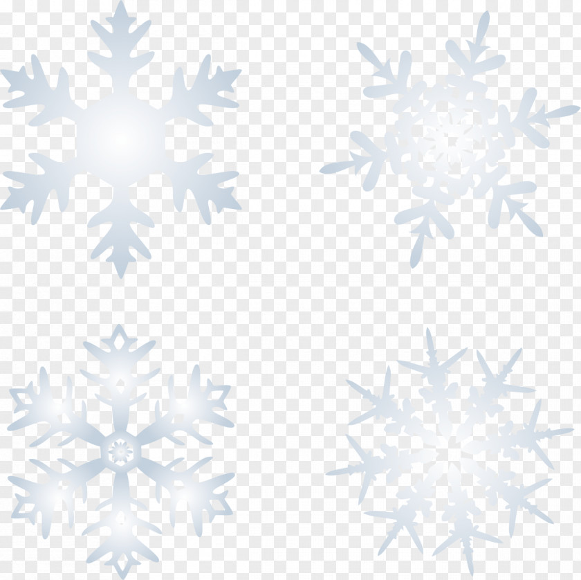 Snow Vector Snowflake Euclidean PNG