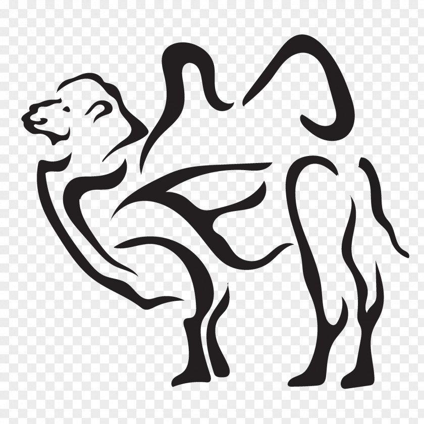 Wildlife Line Art White Cartoon Black-and-white Camel Coloring Book PNG