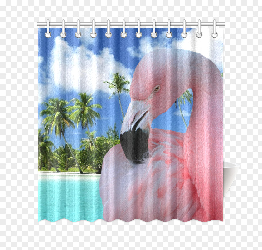 Bird Curtain Water PNG