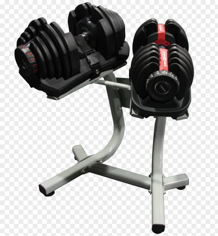Dumbbell Barbell Exercise Machine Physical Fitness Centre PNG