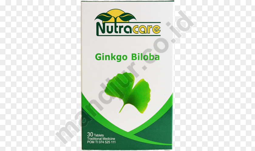 Ginkgo-biloba Drug Obat Tradisional Health Joint Pain Pharmacy PNG