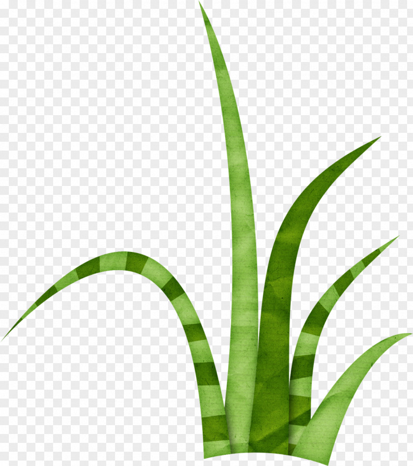 Herbe Lawn Clip Art PNG