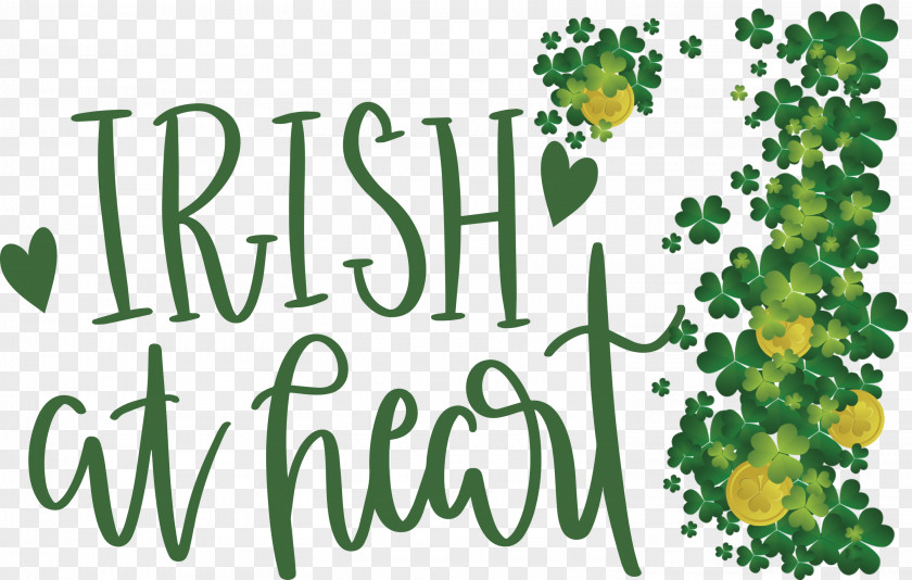 Shamrock Irish Saint Patrick PNG