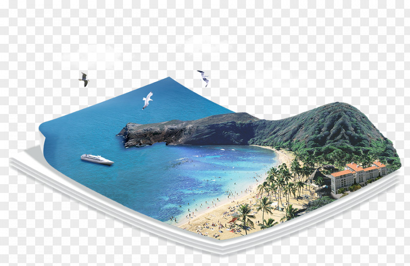 Beach Quadcopter Wi-Fi First-person View Download PNG