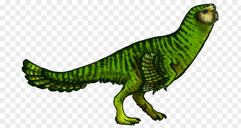 Dinosaur Qianzhousaurus Tyrannosaurus Velociraptor Alioramus PNG