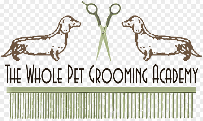 Dog Grooming Pet Sitting Horse PNG