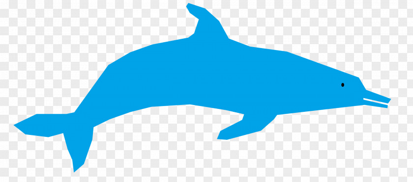 Dolphin Tucuxi Common Bottlenose Clip Art PNG