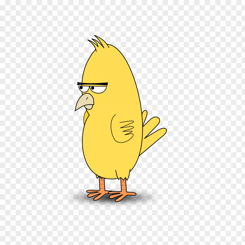 Bird Cartoon Domestic Canary Clip Art PNG