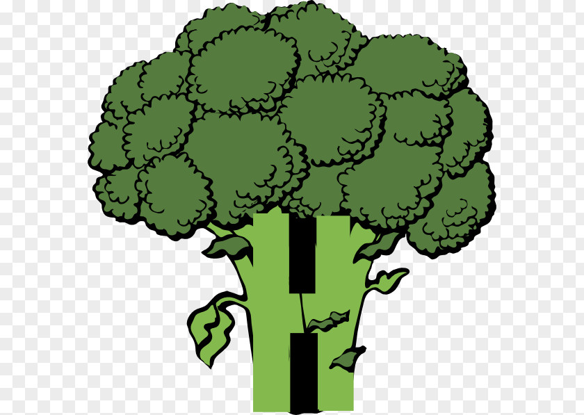 Broccoli Cliparts Vegetable Clip Art PNG