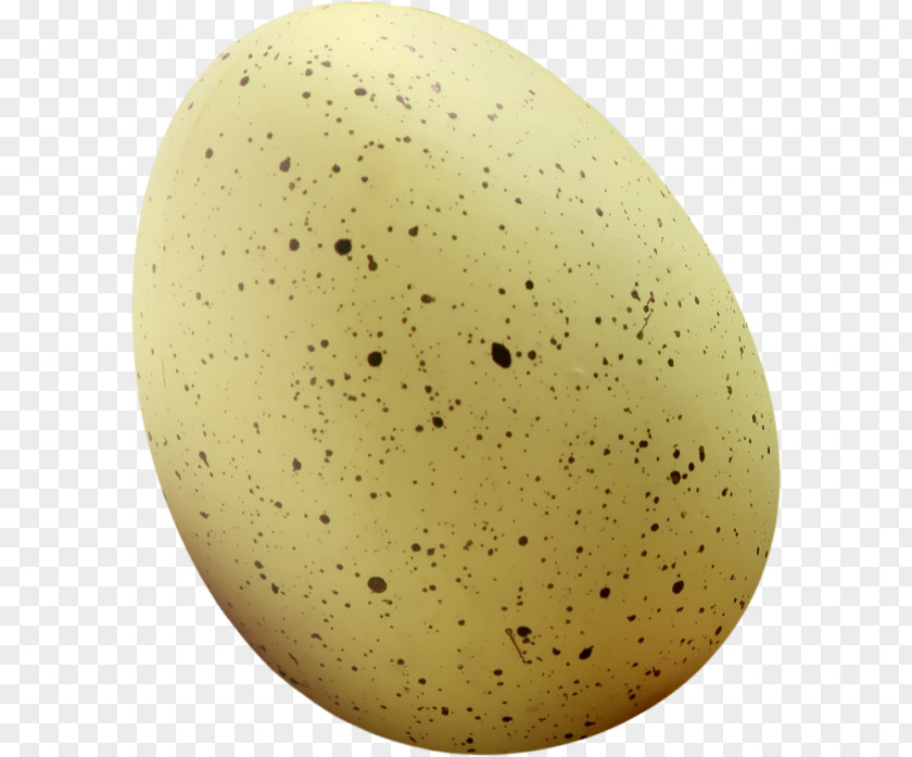 Egg Easter Photography Clip Art PNG