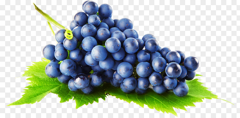 Grape Common Vine Zante Currant Pie PNG