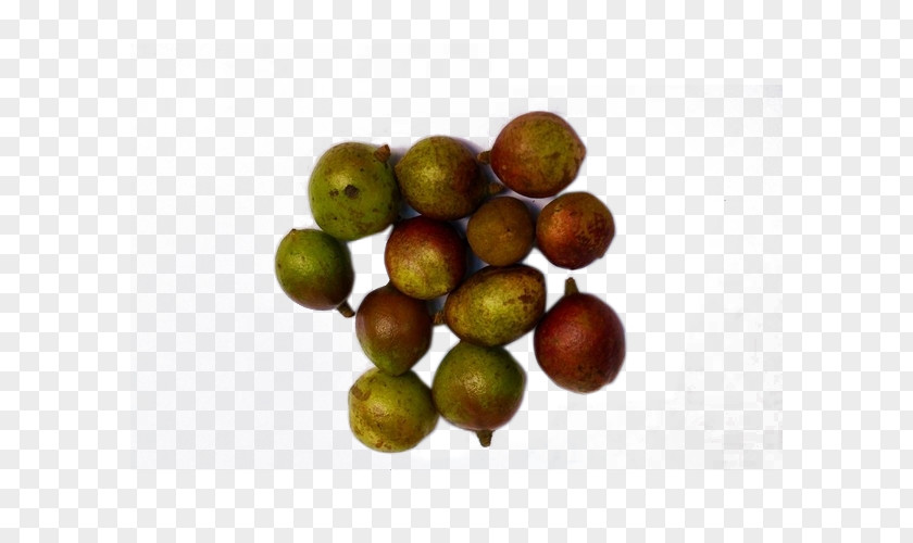 Smooth Tea Fruit Download PNG