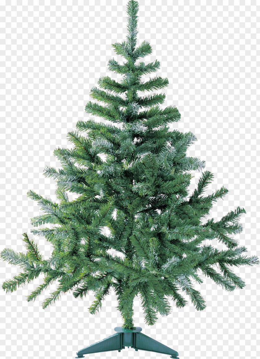 Fir-tree Artificial Christmas Tree Download PNG
