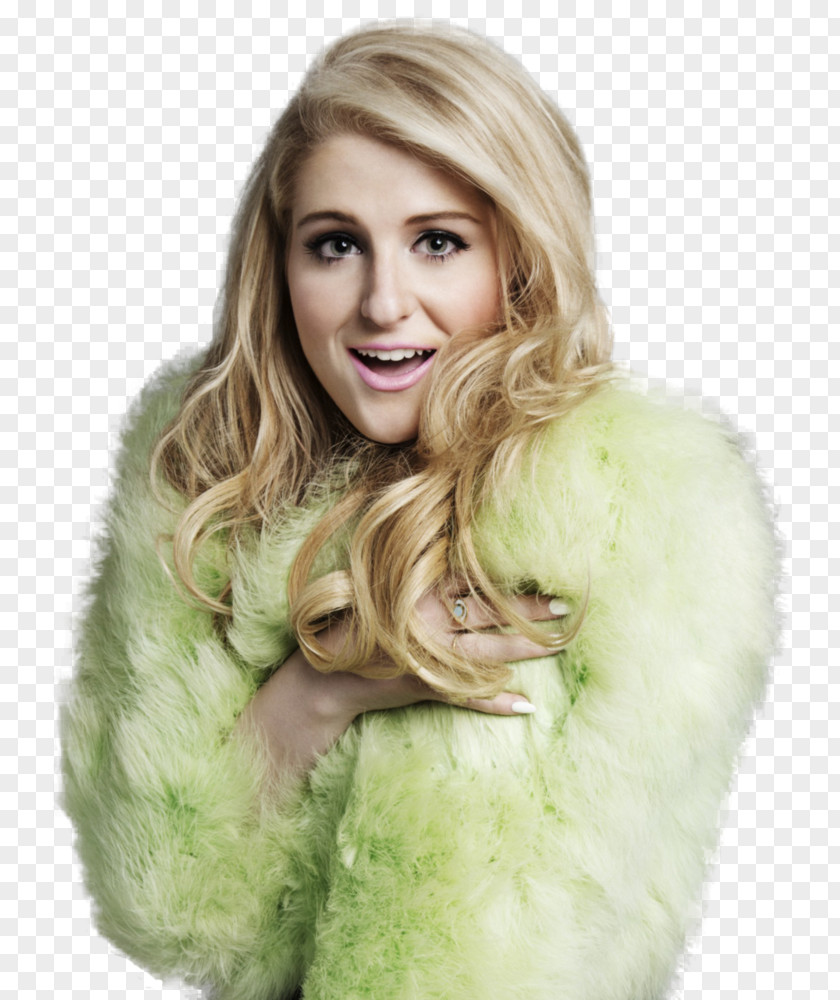 Meghan Trainor United States All About That Bass Tour Title PNG