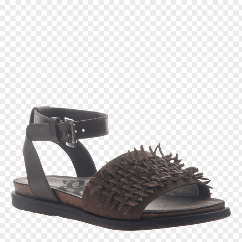 Sandal Shoe Ankle Strap Suede PNG