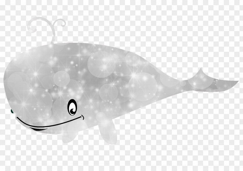 Sperm Whale Cetacea Black And White Marine Mammal PNG whale and mammal, clipart PNG