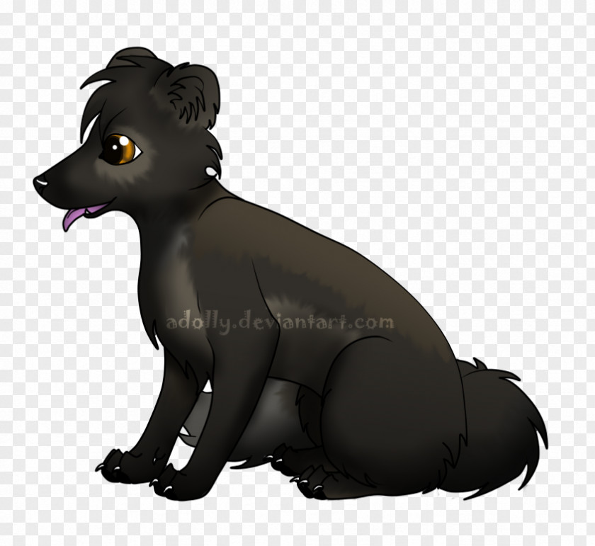 Dog Breed Whiskers Snout Fur PNG