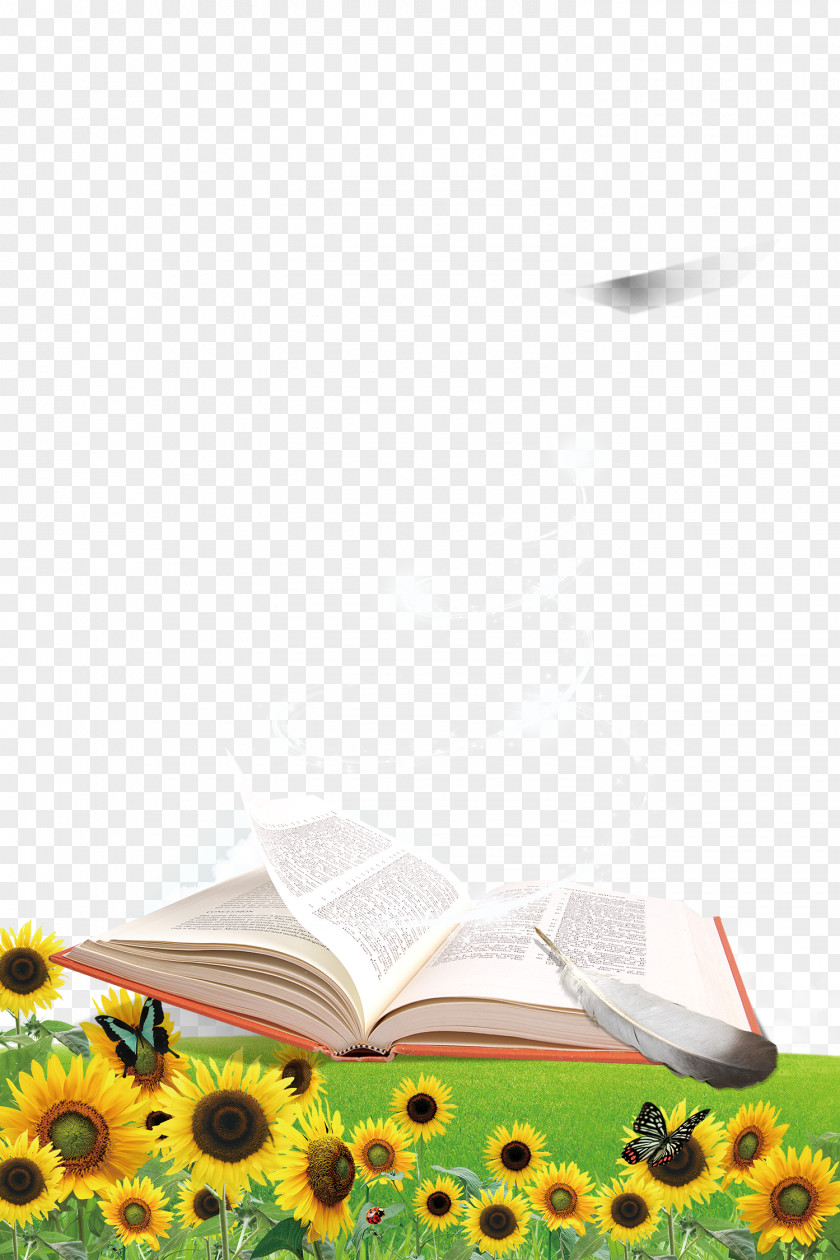 Open Book On Grass Poster Banner Wallpaper PNG