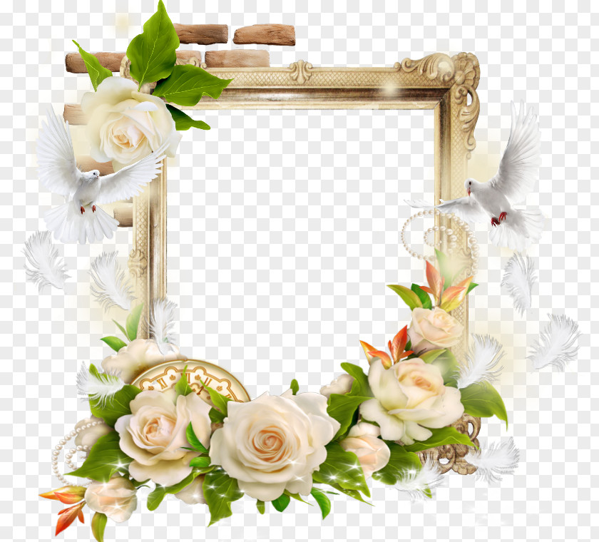 Wedding Picture Frames Photography Industry Decorative Arts PNG