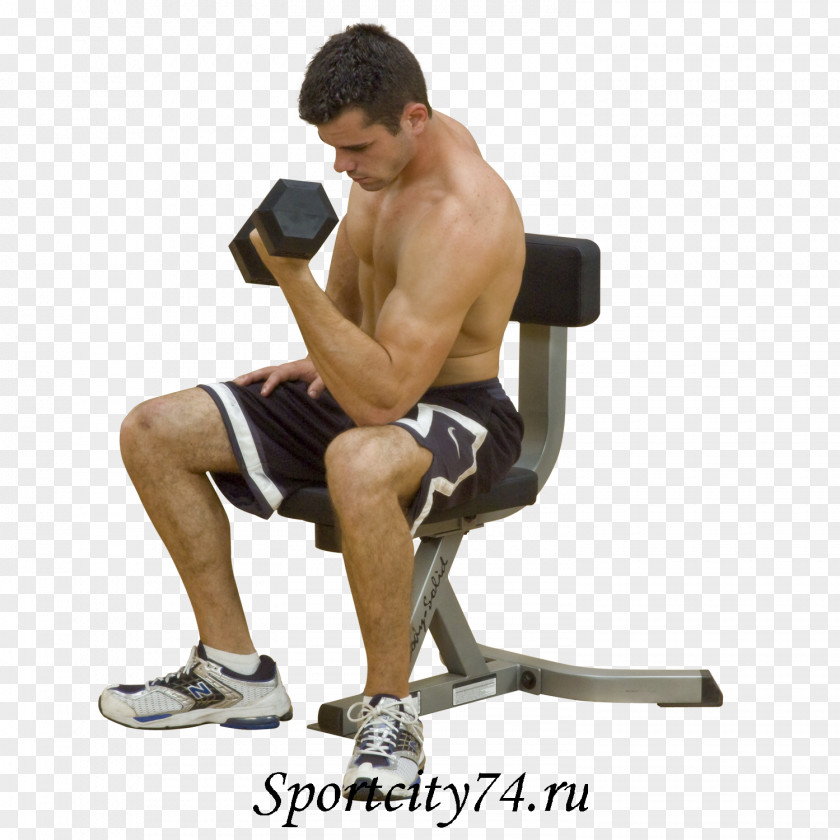 Bench Triceps Brachii Muscle Exercise Biceps Curl Fitness Centre PNG