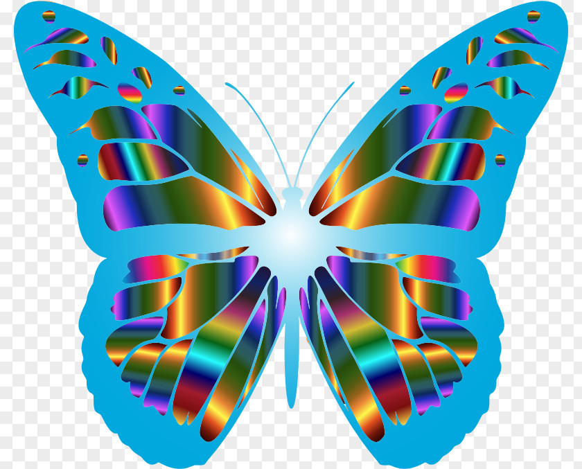 Colorful Butterfly Monarch Color Clip Art PNG
