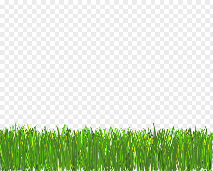 Designs Grass Lawn Desktop Wallpaper Clip Art PNG