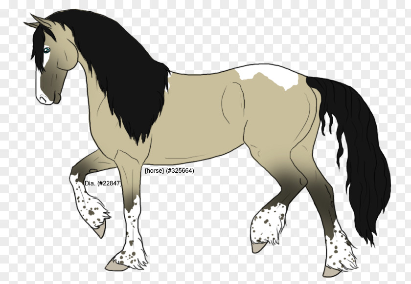 Mustang Mane Foal Stallion Mare Colt PNG