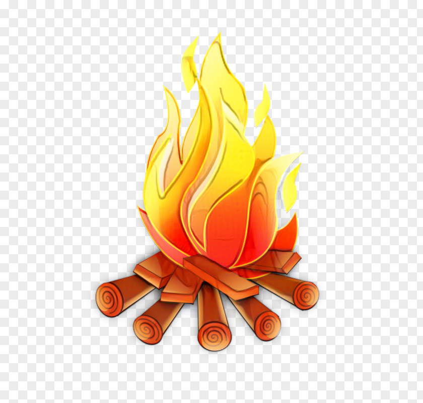 Plant Orange Campfire Cartoon PNG