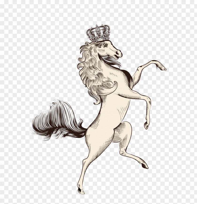 Vector Unicorn Horse Drawing Euclidean PNG