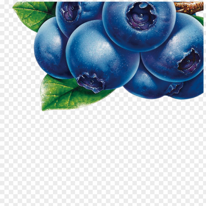 Blueberry Berry Fruit Tea European Bilberry PNG