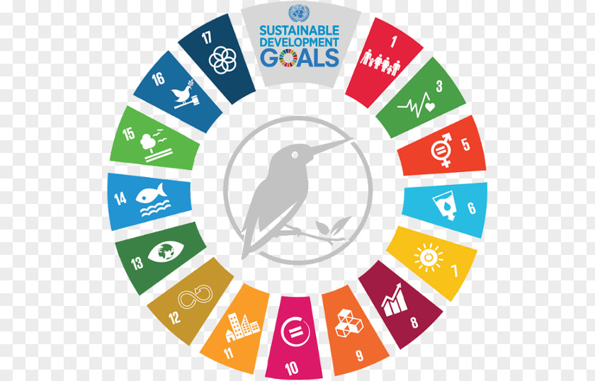 Developement Sustainability Health Care Sustainable Development Goals Business PNG