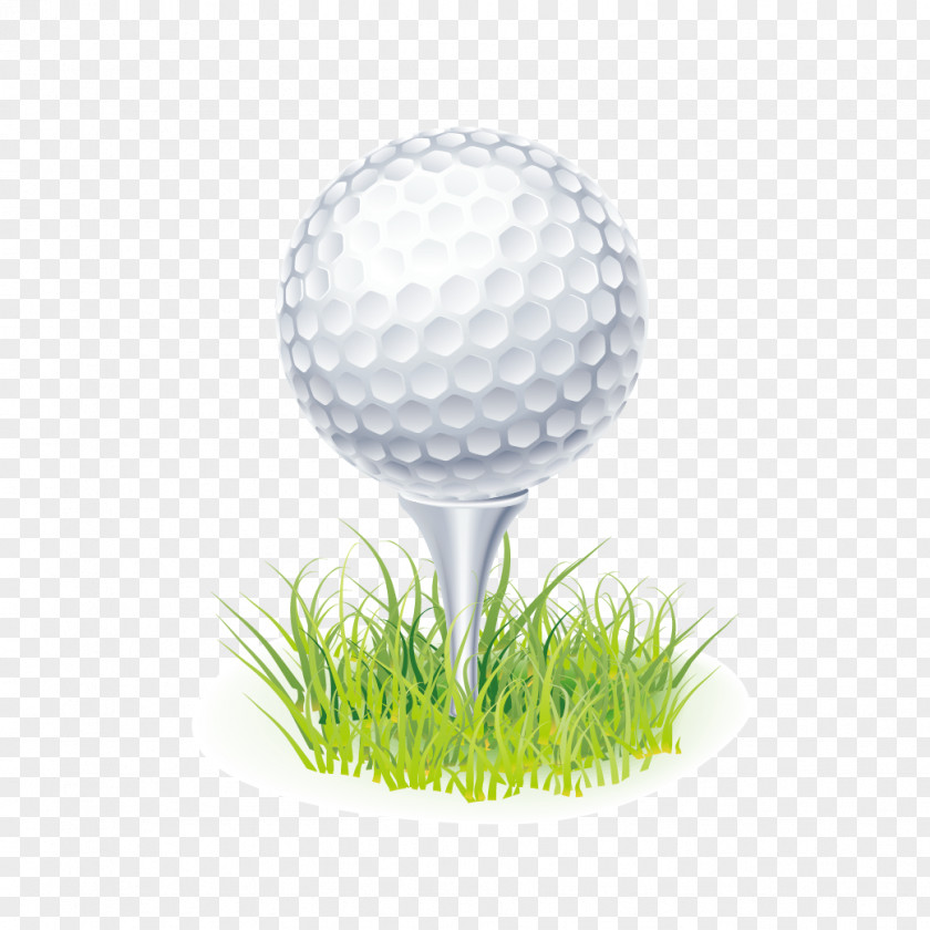 Golf Tee Ball Clip Art PNG
