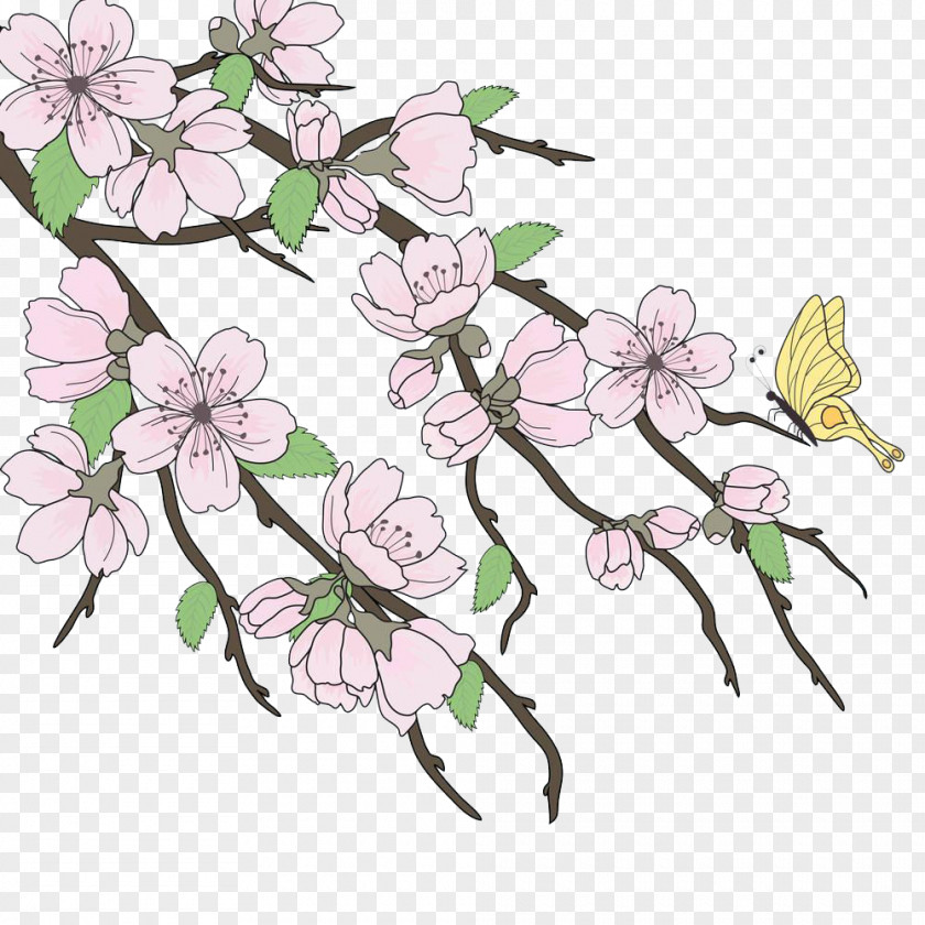 Japanese Cherry Blossoms Blossom Branch Stock Illustration PNG