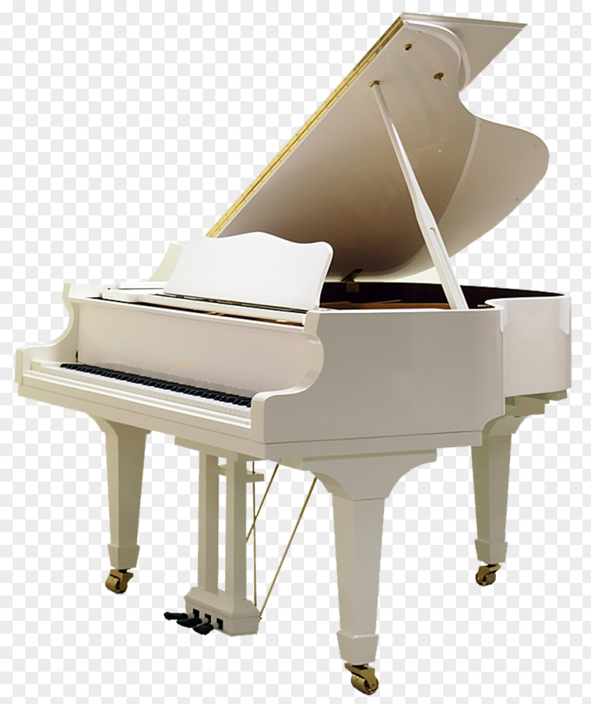 Piano Grand C. Bechstein Upright Guangzhou Pearl River PNG