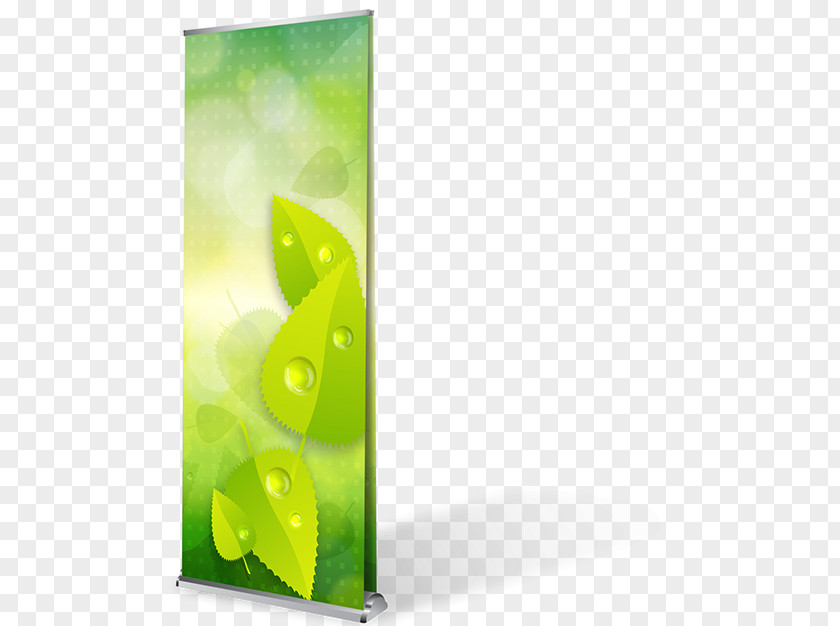 Roll Up Stand Rectangle PNG
